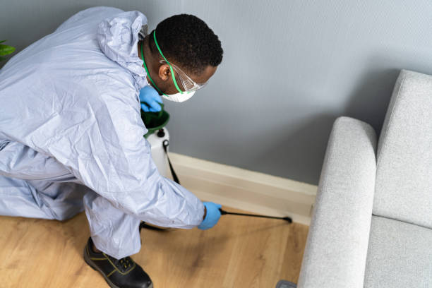 Professional Pest Control in Leonville, LA